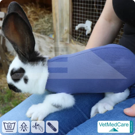 SPAR-SET: Safety Tubes DIY | wie Mullbinde, Verband und Pflaster in einem | Schutz Strümpfe für Haustiere wie Hamster, Hase und Kleintiere | VetMedCare® 15 Safety Tubes DIY | wie Mullbinde, Verband und Pflaster in einem | Schutz Strümpfe für Haustiere wie Hamster, Hase und Kleintiere | VetMedCare®