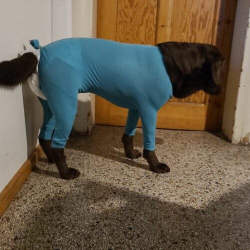 42742686 128465967 e1993c43 b72c 41f8 a2a0 f55a144a9698