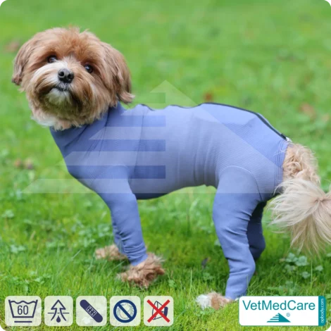 VetMedCare Hundebody mit Reißverschluss | OP-Schutzbody für Hunde nach Operation | Atmungsaktiver Wundschutz & Komfort 11 Hundebody mit Zipper blau | VetMedCare