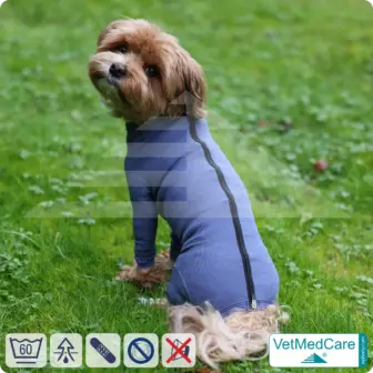 VetMedCare Hundebody mit Reißverschluss | OP-Schutzbody für Hunde nach Operation | Atmungsaktiver Wundschutz & Komfort 15 Hundebody mit Zipper blau | VetMedCare