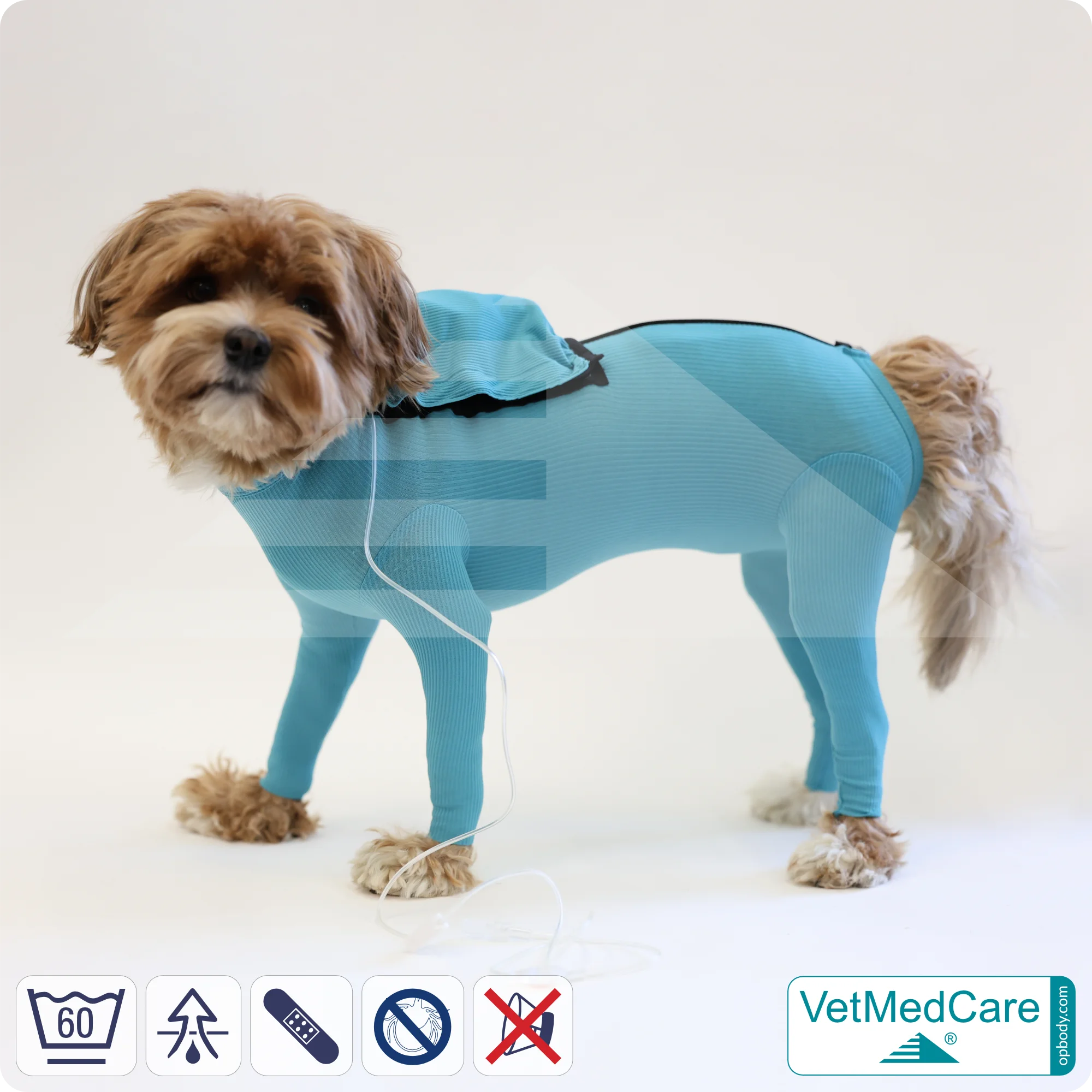Hund System Body mit Beinen + Reißverschluss + Zusatzfunktion Tasche | Hund Body - Ganzkörperbody mit 4 Beinen | VetMedCare® 2 Hund System Body mit Beinen + Reißverschluss + Zusatzfunktion | Hund Body - Ganzkörperbody mit 4 Beinen | VetMedCare®