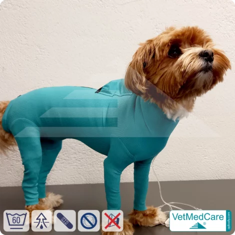 Hund System Body mit Beinen + Reißverschluss + Zusatzfunktion Tasche | Hund Body - Ganzkörperbody mit 4 Beinen | VetMedCare® 17 Hund System Body mit Beinen + Reißverschluss + Zusatzfunktion | Hund Body - Ganzkörperbody mit 4 Beinen | VetMedCare®