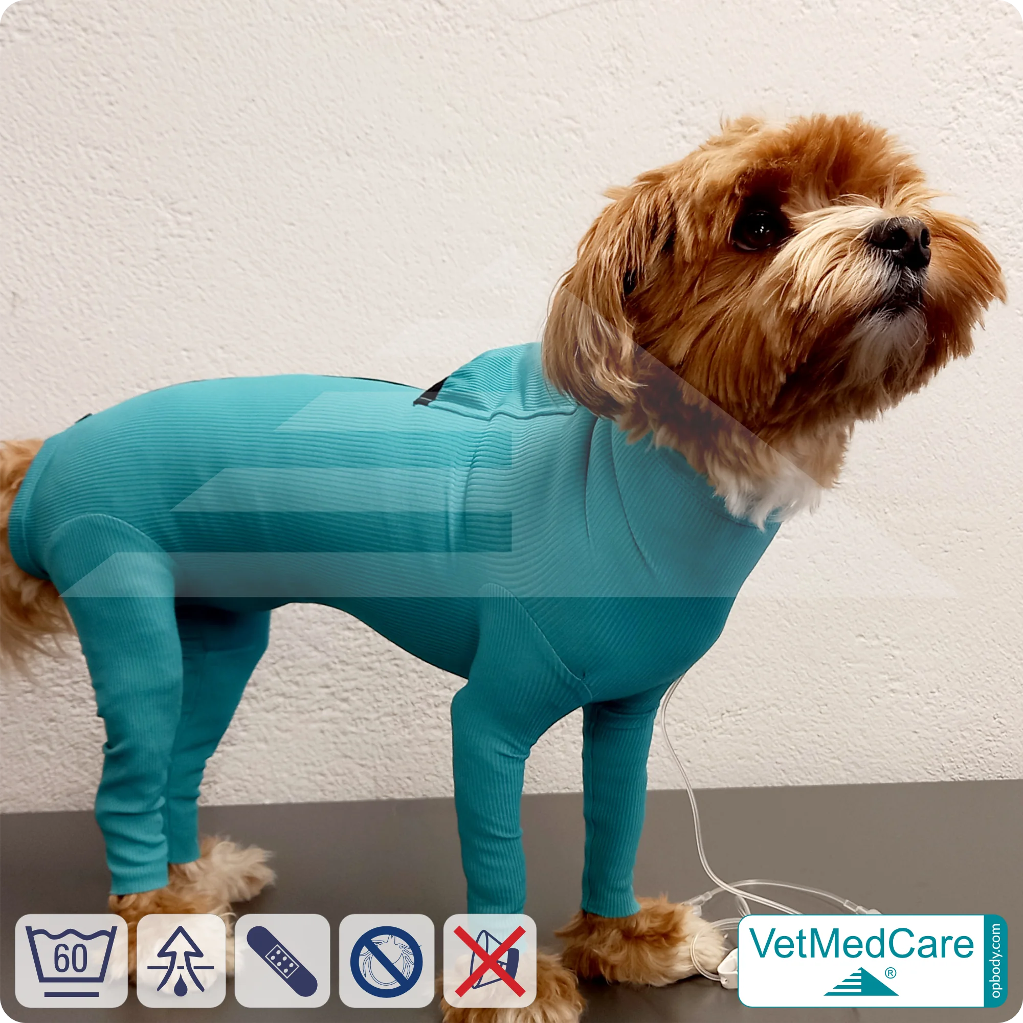 Hund System Body mit Beinen + Reißverschluss + Zusatzfunktion Tasche | Hund Body - Ganzkörperbody mit 4 Beinen | VetMedCare® 8 Hund System Body mit Beinen + Reißverschluss + Zusatzfunktion | Hund Body - Ganzkörperbody mit 4 Beinen | VetMedCare®