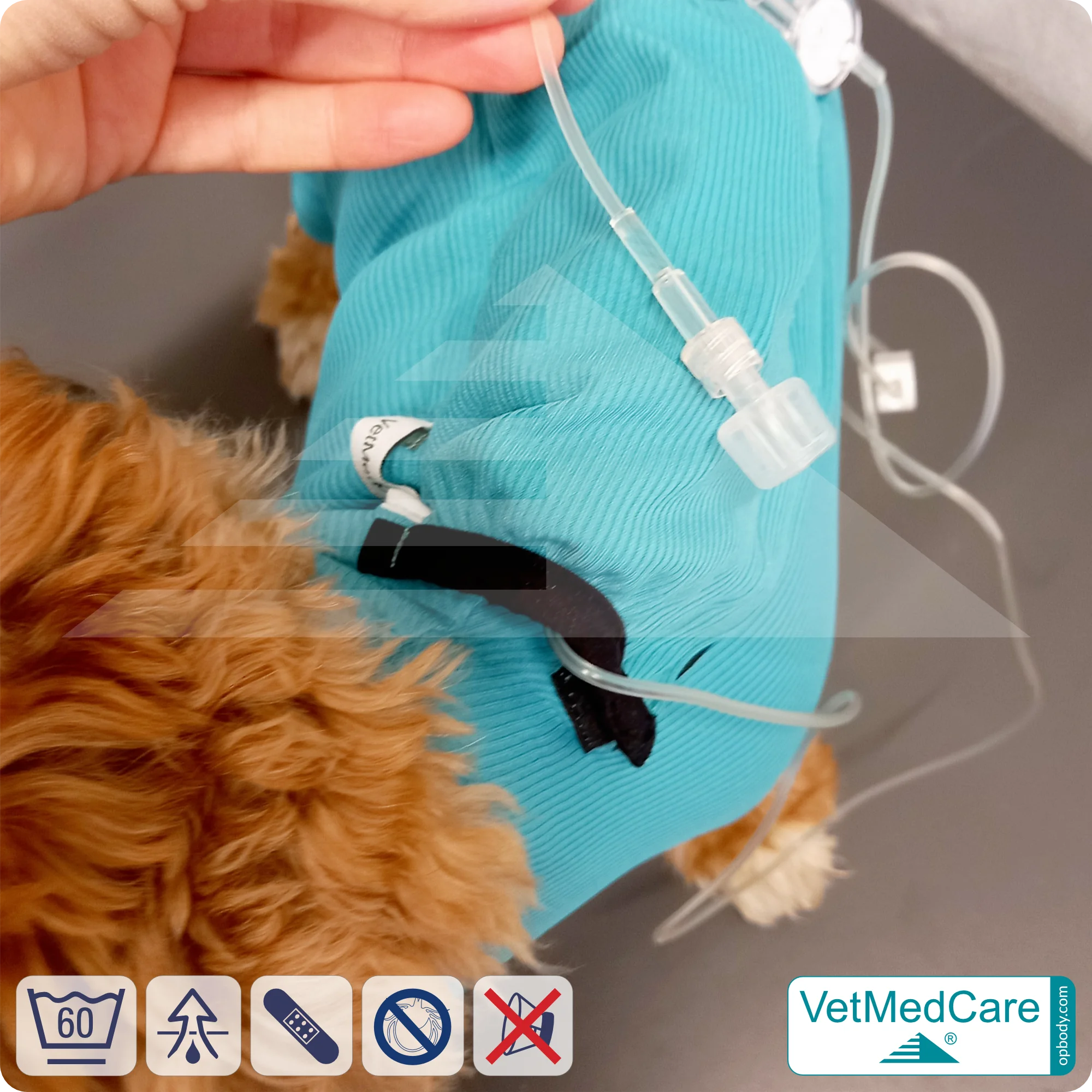 Hund System Body mit Beinen + Reißverschluss + Zusatzfunktion Tasche | Hund Body - Ganzkörperbody mit 4 Beinen | VetMedCare® 10 Hund System Body mit Beinen + Reißverschluss + Zusatzfunktion | Hund Body - Ganzkörperbody mit 4 Beinen | VetMedCare®