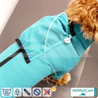Hund System Body mit Beinen + Reißverschluss + Zusatzfunktion Tasche | Hund Body - Ganzkörperbody mit 4 Beinen | VetMedCare® 14 Hund System Body mit Beinen + Reißverschluss + Zusatzfunktion | Hund Body - Ganzkörperbody mit 4 Beinen | VetMedCare®