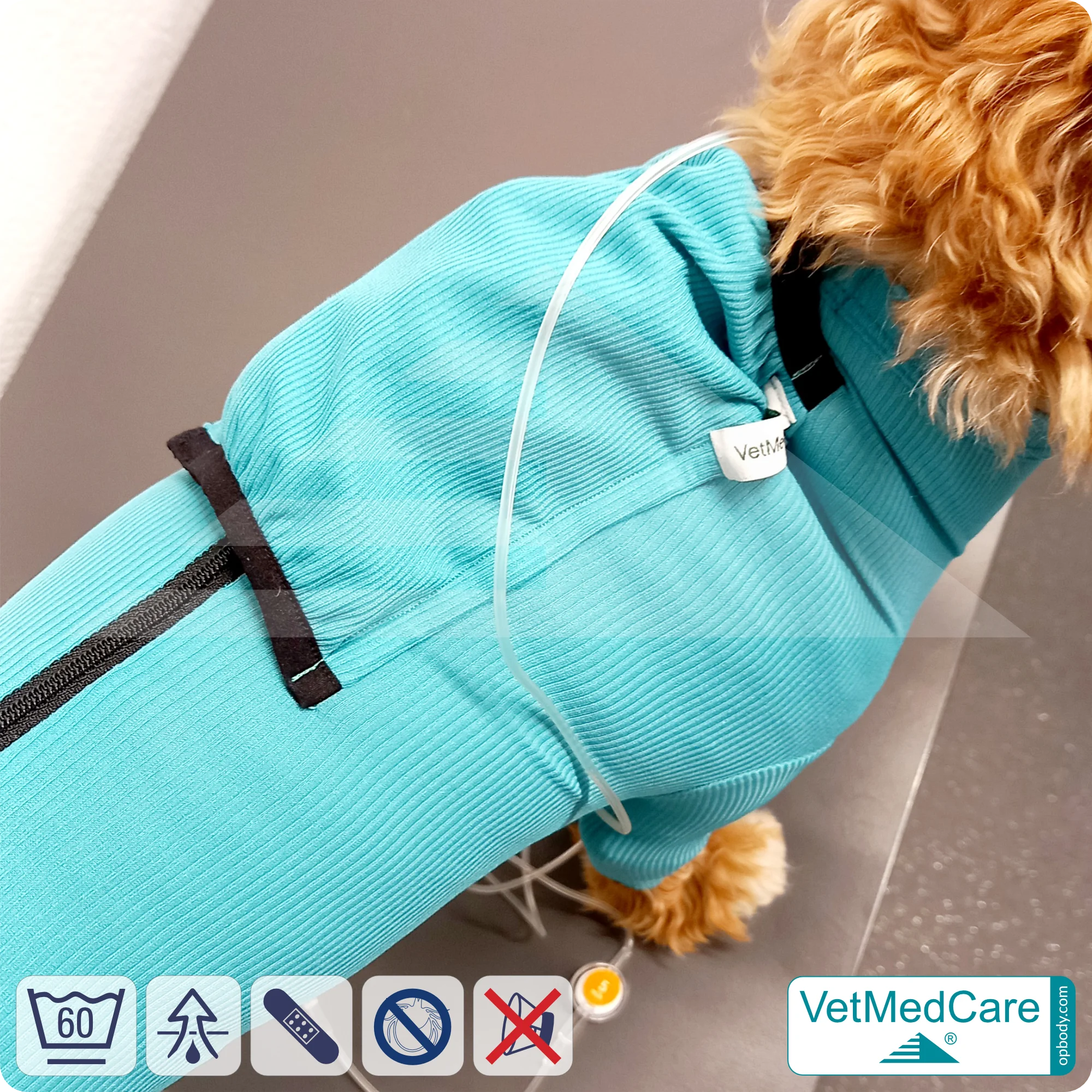 Hund System Body mit Beinen + Reißverschluss + Zusatzfunktion Tasche | Hund Body - Ganzkörperbody mit 4 Beinen | VetMedCare® 4 Hund System Body mit Beinen + Reißverschluss + Zusatzfunktion | Hund Body - Ganzkörperbody mit 4 Beinen | VetMedCare®