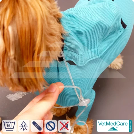 Hund System Body mit Beinen + Reißverschluss + Zusatzfunktion Tasche | Hund Body - Ganzkörperbody mit 4 Beinen | VetMedCare® 15 Hund System Body mit Beinen + Reißverschluss + Zusatzfunktion | Hund Body - Ganzkörperbody mit 4 Beinen | VetMedCare®
