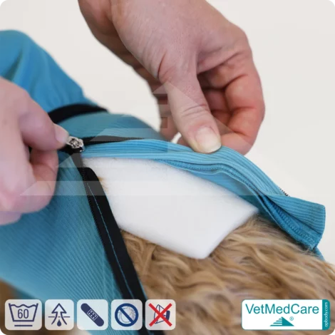 Hund System Body mit Beinen + Reißverschluss + Zusatzfunktion Tasche | Hund Body - Ganzkörperbody mit 4 Beinen | VetMedCare® 18 Hund System Body mit Beinen + Reißverschluss + Zusatzfunktion | Hund Body - Ganzkörperbody mit 4 Beinen | VetMedCare®