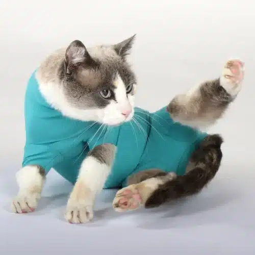 VetMedCare Katze Kategorie