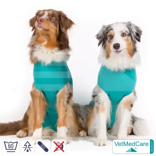 Hundebody "Komfort" - UNISEX - nach Hund Operation | Ohne Beine mit dehnbaren Bündchen VetMedCare®