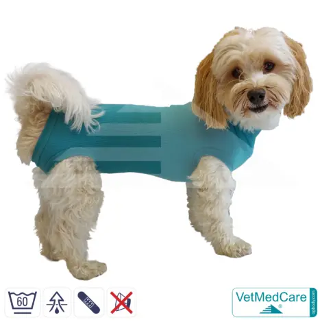 Hundebody "Komfort" - UNISEX - nach Hund Operation | Ohne Beine mit dehnbaren Bündchen VetMedCare® 10 VetMedCare Hundebody Comfort UNISEX
