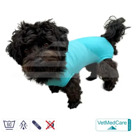 Hundebody "Komfort" - UNISEX - nach Hund Operation | Ohne Beine mit dehnbaren Bündchen VetMedCare® 16 VetMedCare Hundebody Comfort UNISEX