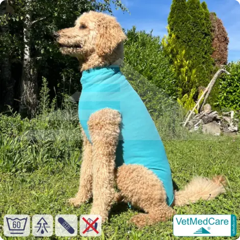 Hundebody "Komfort" - UNISEX - nach Hund Operation | Ohne Beine mit dehnbaren Bündchen VetMedCare® 15 VetMedCare Hundebody Comfort UNISEX