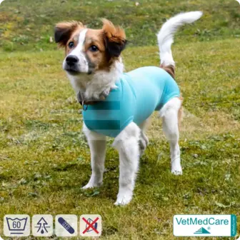Hundebody "Komfort" - UNISEX - nach Hund Operation | Ohne Beine mit dehnbaren Bündchen VetMedCare® 14 VetMedCare Hundebody Comfort UNISEX