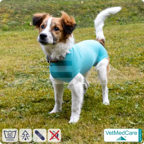 Hundebody "Komfort" - UNISEX - nach Hund Operation | Ohne Beine mit dehnbaren Bündchen VetMedCare® 14 VetMedCare Hundebody Comfort UNISEX