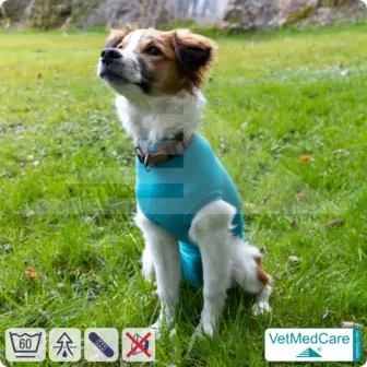Hundebody "Komfort" - UNISEX - nach Hund Operation | Ohne Beine mit dehnbaren Bündchen VetMedCare® 13 VetMedCare Hundebody Comfort UNISEX