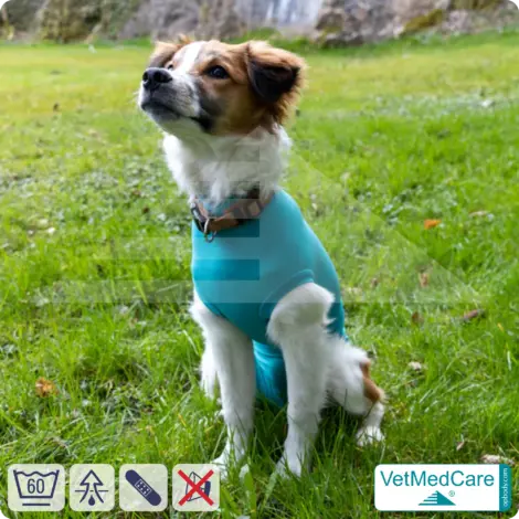 Hundebody "Komfort" - UNISEX - nach Hund Operation | Ohne Beine mit dehnbaren Bündchen VetMedCare® 13 VetMedCare Hundebody Comfort UNISEX
