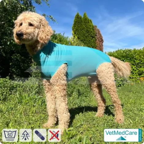 Hundebody "Komfort" - UNISEX - nach Hund Operation | Ohne Beine mit dehnbaren Bündchen VetMedCare® 12 VetMedCare Hundebody Comfort UNISEX