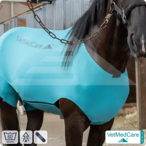 Körper Pferdebody | Fliegenschutz, Mückenschutz bzw. Insektenschutz am Rücken | VetMedCare 6 VetMedCare Körper Pferdebody | Anti Mücken Beschichtung