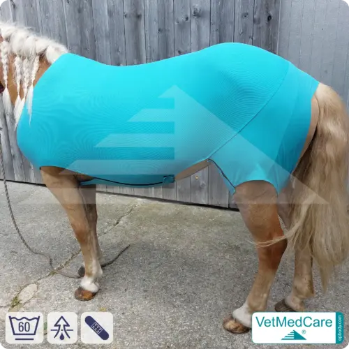 VetMedCare Körper Pferdebody | Anti Mücken Beschichtung