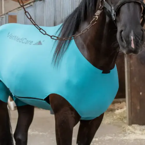 VetMedCare Körper Pferdebody | Anti Mücken Beschichtung. Feedbild.