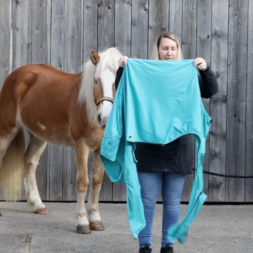 VetMedCare Körper Pferdebody | Anti Mücken Beschichtung