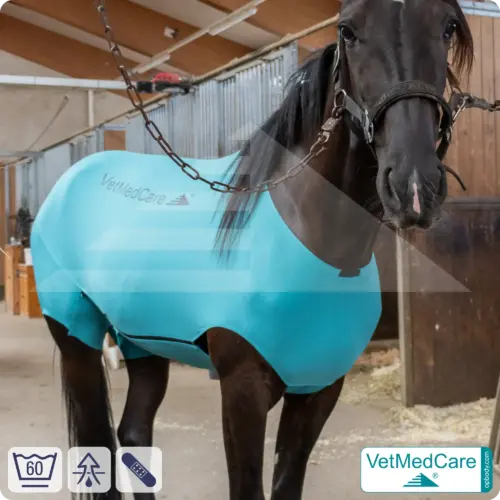 VetMedCare Körper Pferdebody | Anti Mücken Beschichtung