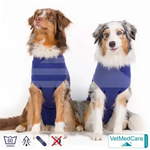 VetMedCare Hundebody Comfort UNISEX Indigo Blau