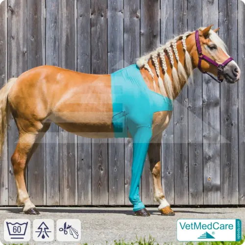 Pferde Wundschutz / Beinschutz für die Beine - Vorderlauf | links und rechts passend | VetMedCare®