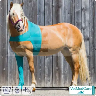 VetMedCare Pferde Wundschutz / Beinschutz für die Beine vorne - Beinling